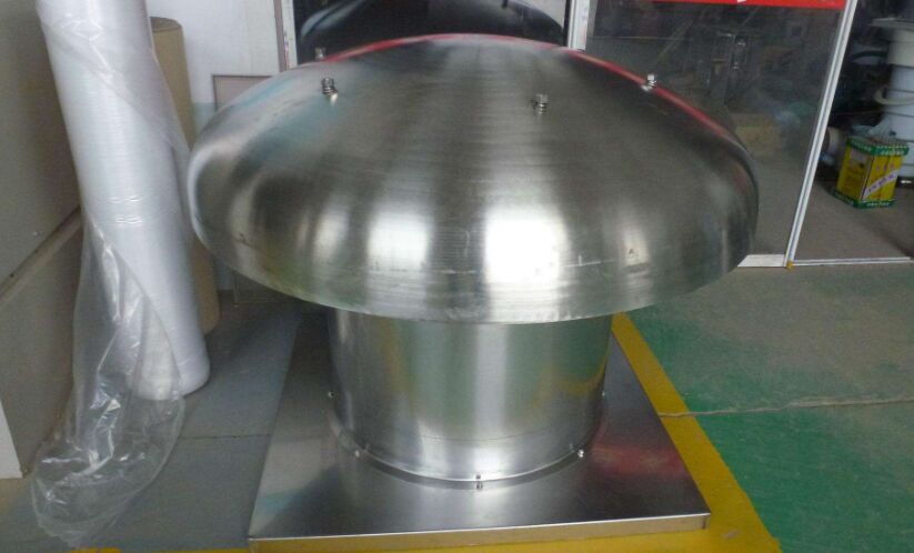 �ӱ����P�����L(f��ng)�C(j��)�S��